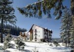 Revelion 2027 în Bucovina – Floare de Colț Manastirea Humorului