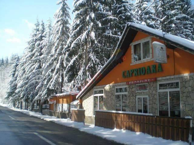Revelion 2026 în Maramureș – Pensiunea Căprioara Firiza
