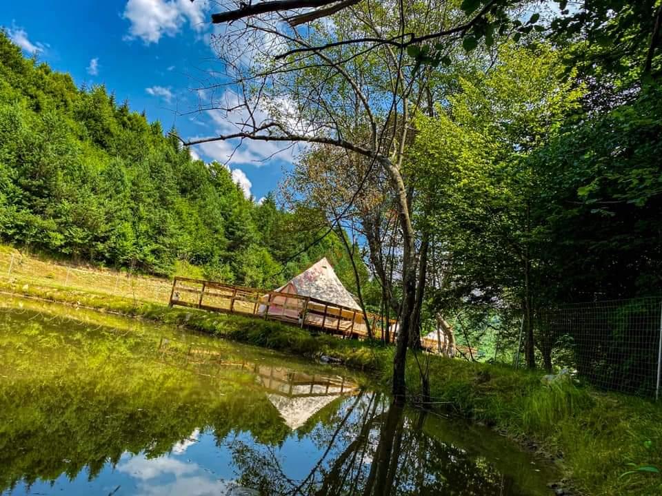 Tabară la Munte, Vulcan – Brașov
