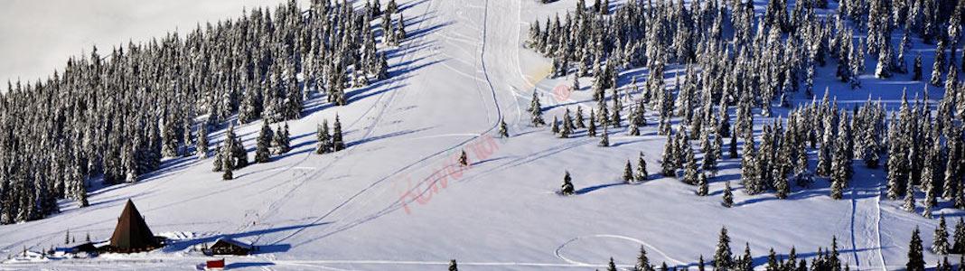 Domeniul Schiabil Șureanu se deschide parțial, în acest weekend