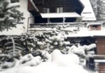 Crăciun 2025 – Elexus Boutique Predeal