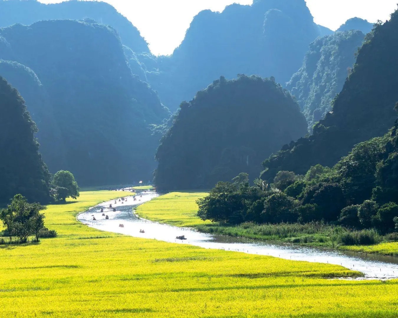 Descoperiți frumusețea Vietnamului