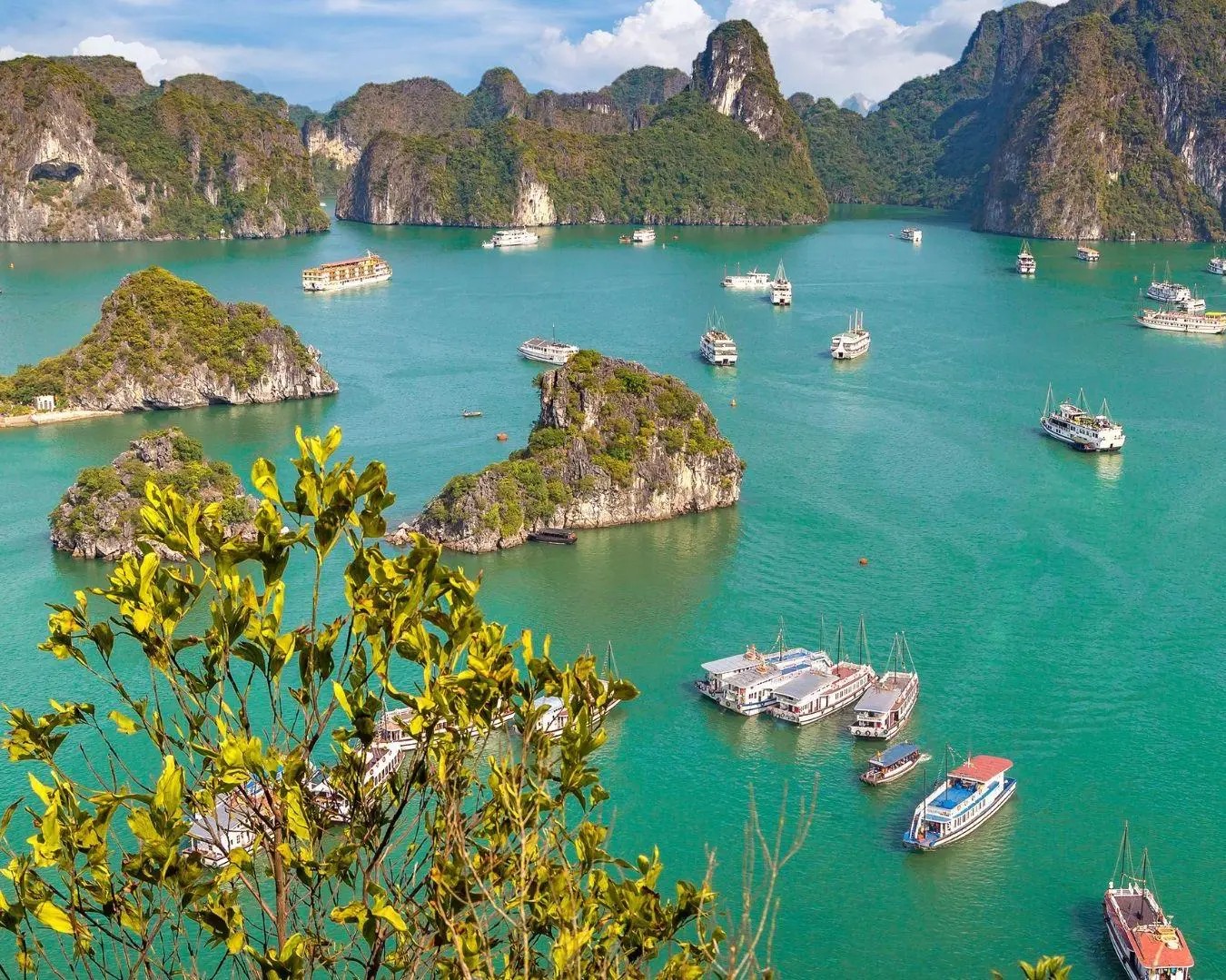 Descoperiți frumusețea Vietnamului