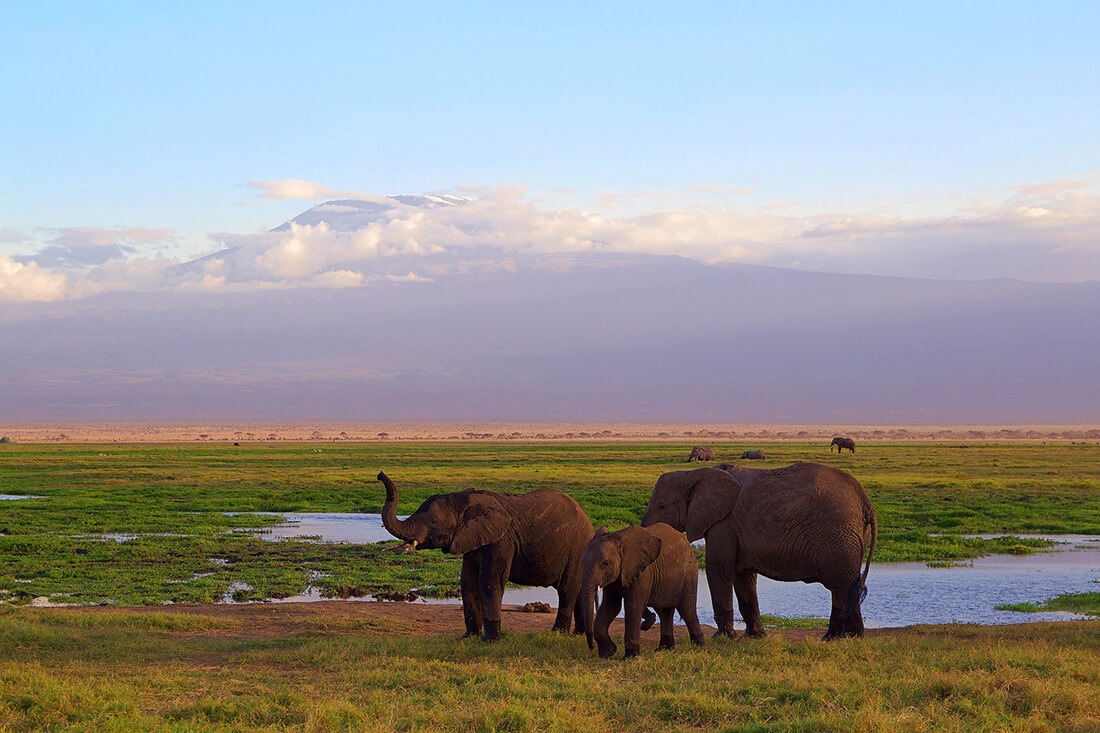 Circuit Africa de Sud și Safari în Parcul Kruger