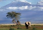Circuit Safari în Tanzania