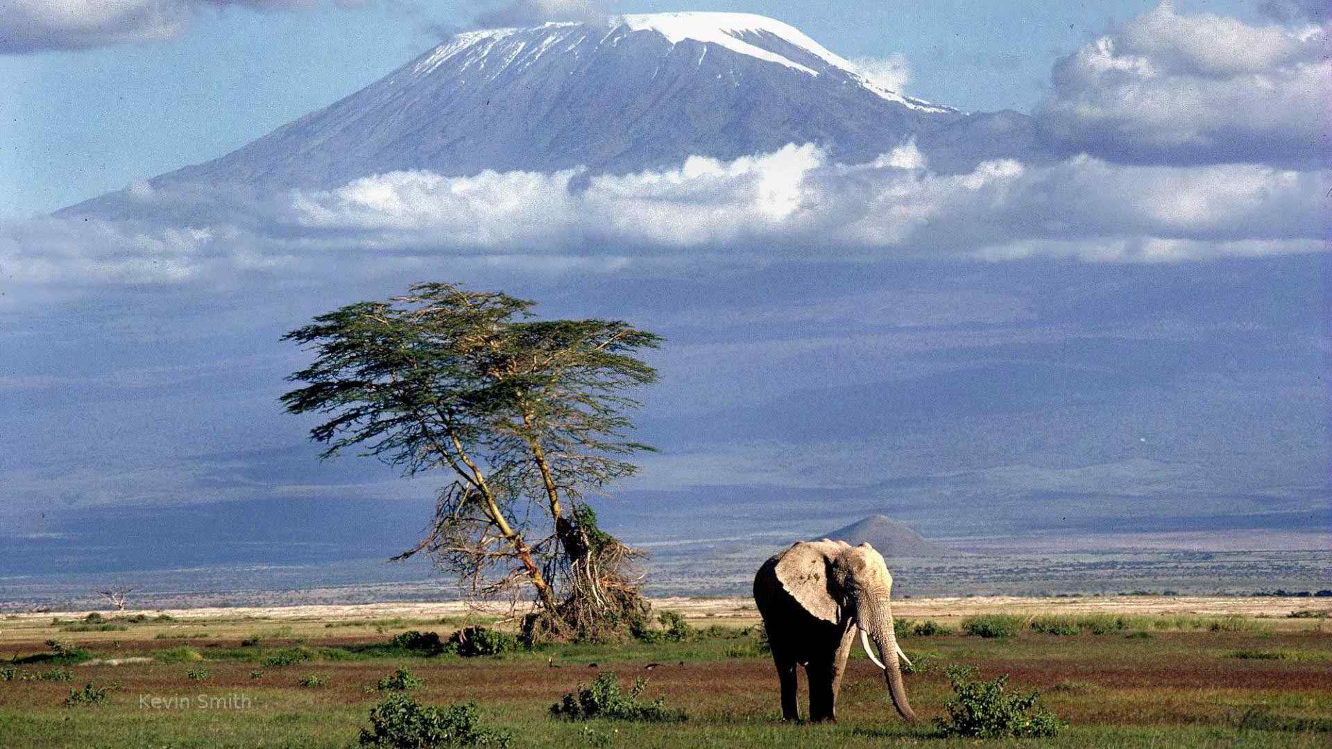 Circuit Safari în Tanzania