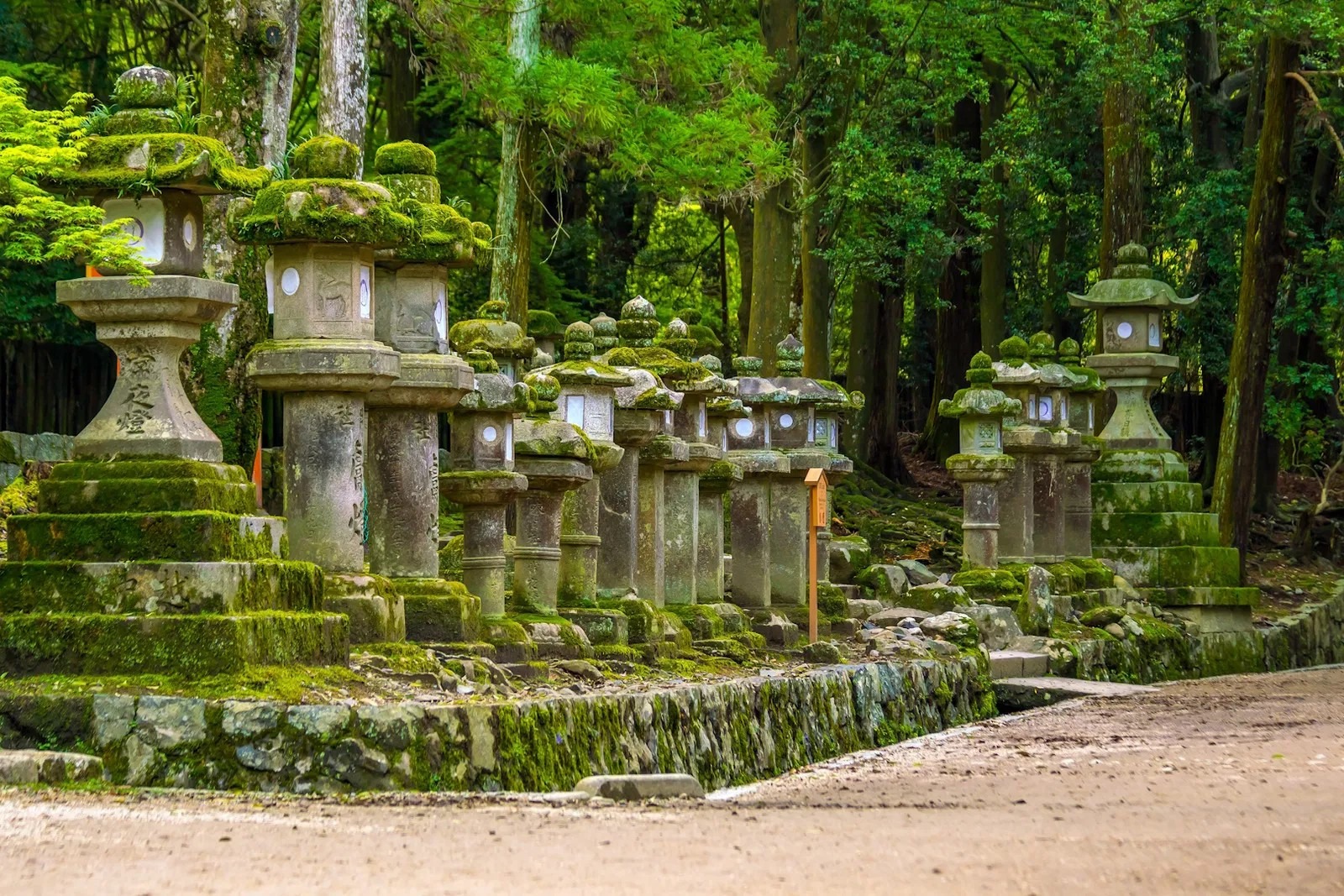 Circuit Japonia & Coreea de Sud: – O călătorie de suflet