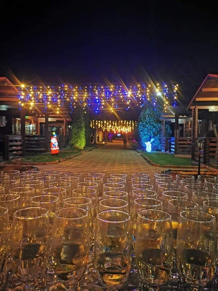 Revelion 2026 Băile Herculane – Casa Ecologică