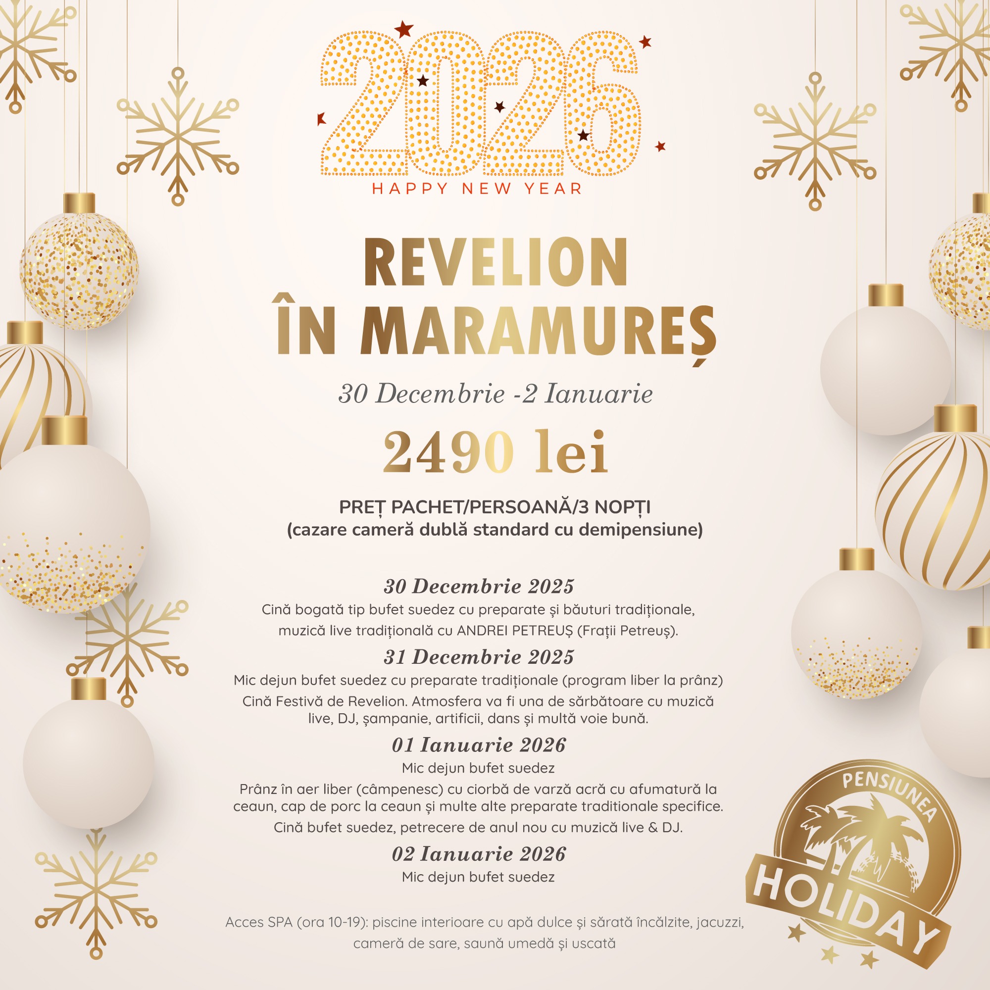 Revelion 2027 în Maramureș – Pensiunea Holiday Ocna Șugatag